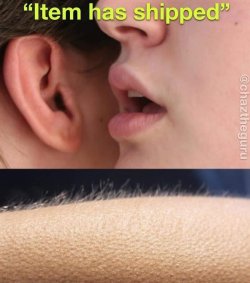 F498FB7F-060A-47E1-BE27-B202F01A9B10.jpeg F498FB7F-060A-47E1-BE27-B202F01A9B10.jpeg