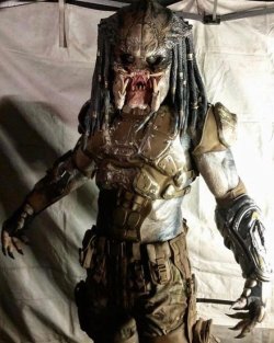 predator-2.jpg predator-2.jpg