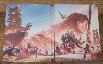 Horizon Forbidden West Steelbook - Outer.jpg