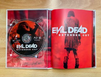 Evil Dead Disc 1 IMG_1008.jpg