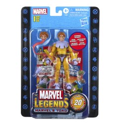 Marvel Legends Series 1 Marvel's Toad - Image 22.jpg