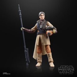 STAR WARS THE BLACK SERIES ARCHIVE 6-INCH PRINCESS LEIA ORGANA (BOUSHH) Figure 1.jpg
