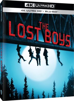 Lost Boys 4K.jpg