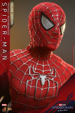 friendly-neighborhood-spider-man-deluxe-version-special-edition_marvel_gallery_62e2fee8763a7.jpg