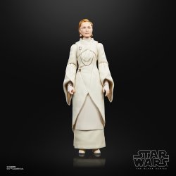 STAR WARS THE BLACK SERIES MON MOTHMA 3.jpg