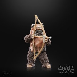STAR WARS THE BLACK SERIES WICKET 2.jpg
