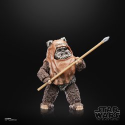 STAR WARS THE BLACK SERIES WICKET 3.jpg
