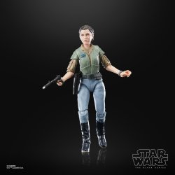 STAR WARS THE BLACK SERIES PRINCESS LEIA (ENDOR) 6.jpg