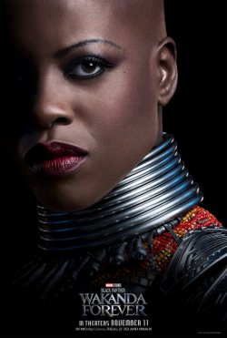 black_panther_wakanda_forever_ver10.jpeg