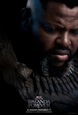 black_panther_wakanda_forever_ver11.jpeg