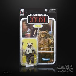 STAR WARS THE BLACK SERIES PAPLOO 1.jpg