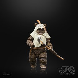 STAR WARS THE BLACK SERIES PAPLOO 3.jpg