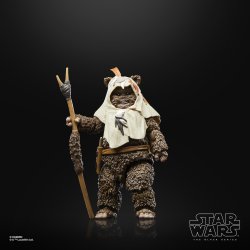 STAR WARS THE BLACK SERIES PAPLOO 4.jpg