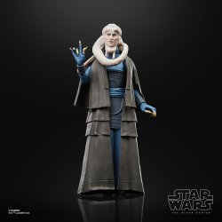 STAR WARS THE BLACK SERIES BIB FORTUNA 3.jpg