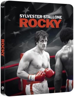 Rocky.jpg