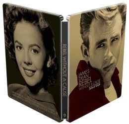 Rebel Without a Cause Open.jpg