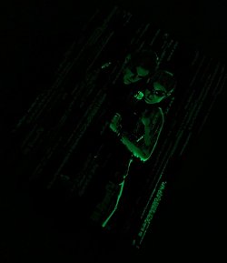 IMG_0366.jpg IMG_0366.jpg
