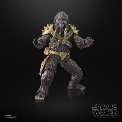 STAR WARS THE BLACK SERIES KRRSANTAN 1.jpg