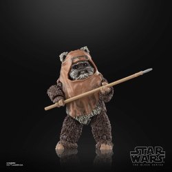 STAR WARS THE BLACK SERIES WICKET 9.jpg
