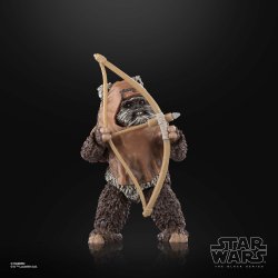 STAR WARS THE BLACK SERIES WICKET 13.jpg