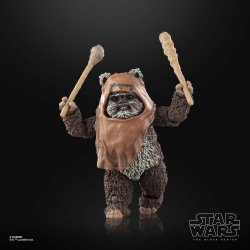 STAR WARS THE BLACK SERIES WICKET 19.jpg