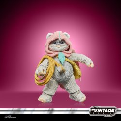 STAR WARS THE VINTAGE COLLECTION WICKET & KNEESAA 26.jpg
