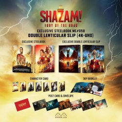 Shazam2_Packshot_DLS_5000x.jpeg