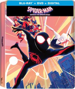 Spider Man Across the Spider Verse Walmart.jpg