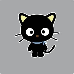 IMG_2245.jpeg
