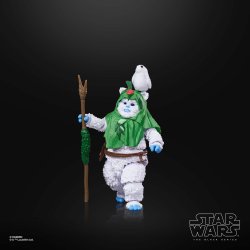 STAR WARS THE BLACK SERIES EWOK (HOLIDAY EDITION) 3.jpg