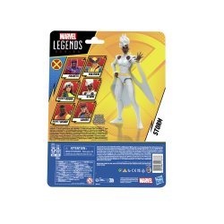 MARVEL LEGENDS SERIES STORM 6.jpg