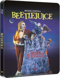 beetle1.jpg