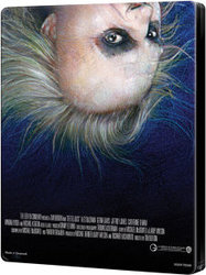 beetle3.jpg