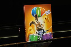 IMG_1613.jpg