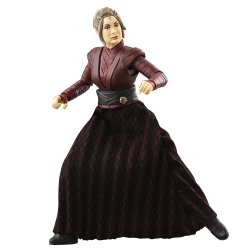 STAR WARS THE VINTAGE COLLECTION MORGAN ELSBETH 5.jpg