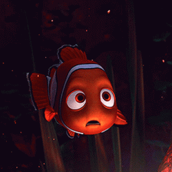 finding-nemo-confused.gif