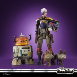 STAR WARS THE VINTAGE COLLECTION SABINE WREN & CHOPPER (C1-10P) 3.jpg