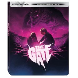 The-Gate-Steelbook-Walmart-Exclusive-Blu-Ray-Digital-Copy_9481cb4a-b766-4a89-8038-c3cd3fecf65...jpeg