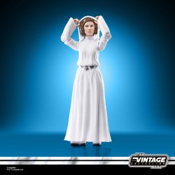 STAR WARS THE VINTAGE COLLECTION PRINCESS LEIA ORGANA 1.jpg