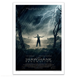 the-shawshank-redemption-film-vault-steelbook-poster-matt-ferguson-florey.png
