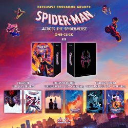 Spiderverse2_overall-OC_0fa3a3f6-43b1-496b-b6f9-780273d73bd9_1200x.jpg