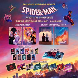 Spiderverse2_3-slips_DLSA_ff1cff59-367c-44a4-b26b-21a42dada2f4_1200x.jpg