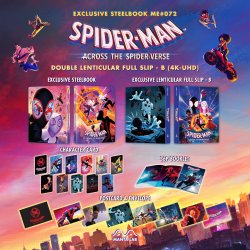 Spiderverse2_3-slips_DLSB_9542a816-1821-4b65-ab9b-84da3d120fb3_1200x.jpg