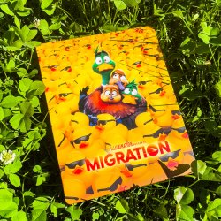 custom-migration-1.jpg