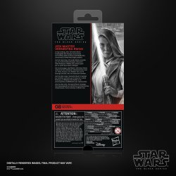 STAR WARS THE BLACK SERIES JEDI MASTER VERNESTRA RWOH - Package 2.jpg