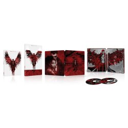The-Crow-2024-Steelbook-Walmart-Exclusive-4K-Ultra-HD-Blu-ray-Digital-Copy_590593bf-93cd-4717...jpeg