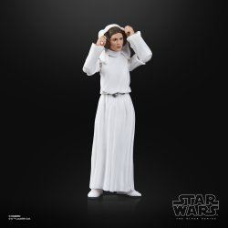 STAR WARS THE BLACK SERIES PRINCESS LEIA ORGANA 7.jpg