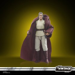STAR WARS THE VINTAGE COLLECTION JEDI MASTER INDARA 2.jpg