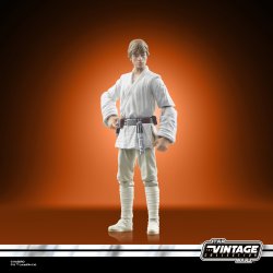 STAR WARS THE VINTAGE COLLECTION LUKE SKYWALKER 1.jpg