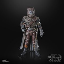 STAR WARS THE BLACK SERIES PIRATE CAPTAIN BRUTUS (PORT BORGO) 1.jpg